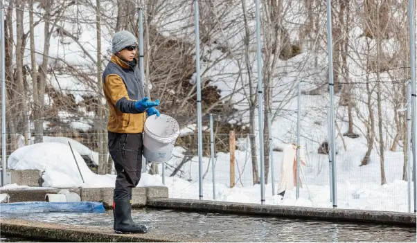 養殖場での育成