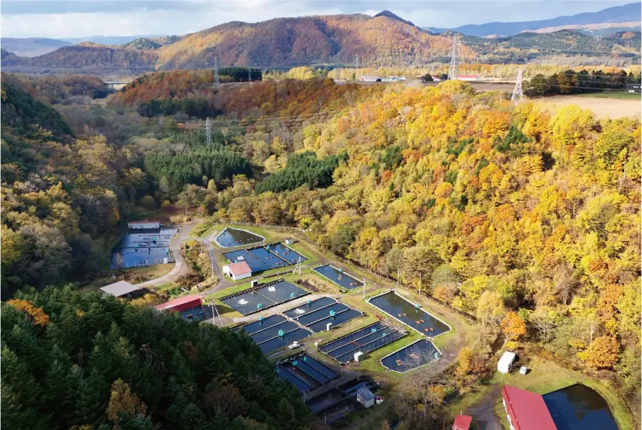 大雪山から流れる清らかな雪解け水